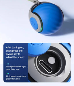 🐾 Speedy Tail 2.0 – Interaktiver elektrischer Rollball mit aufregendem Schwanz – Intelligentes Katzenspielzeug für drinnen und draußen 🎉🐱