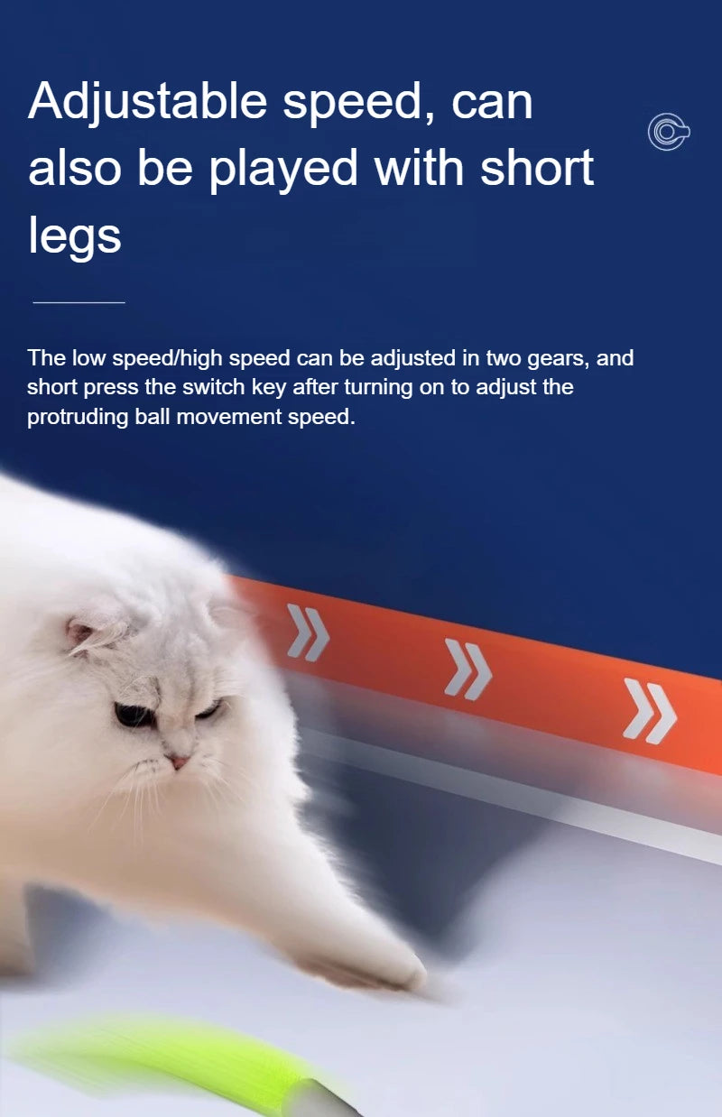 🐾 Speedy Tail 2.0 – Interaktiver elektrischer Rollball mit aufregendem Schwanz – Intelligentes Katzenspielzeug für drinnen und draußen 🎉🐱