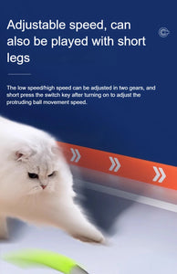 🐾 Speedy Tail 2.0 – Interaktiver elektrischer Rollball mit aufregendem Schwanz – Intelligentes Katzenspielzeug für drinnen und draußen 🎉🐱