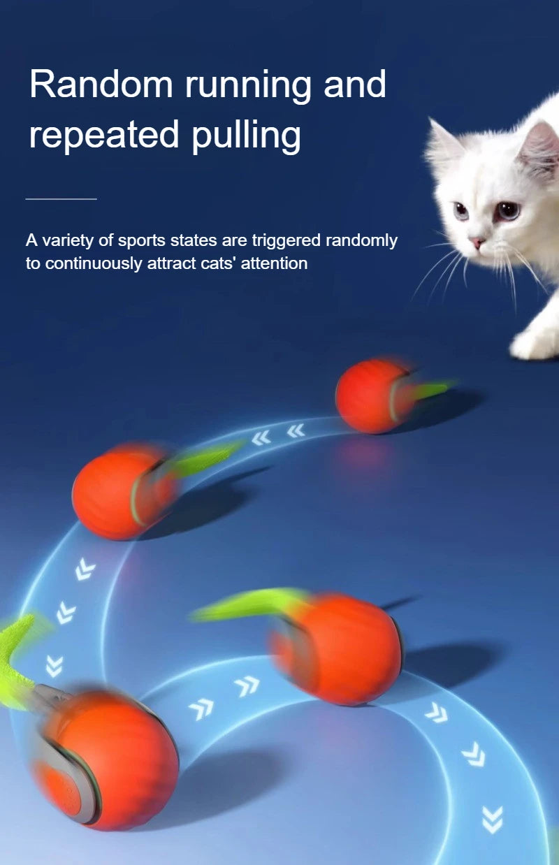 🐾 Speedy Tail 2.0 – Interaktiver elektrischer Rollball mit aufregendem Schwanz – Intelligentes Katzenspielzeug für drinnen und draußen 🎉🐱