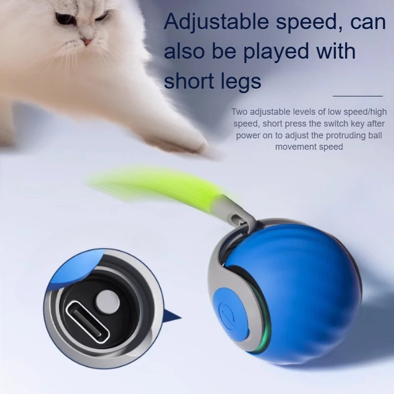 🐾 Speedy Tail 2.0 – Interaktiver elektrischer Rollball mit aufregendem Schwanz – Intelligentes Katzenspielzeug für drinnen und draußen 🎉🐱